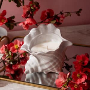 Lumânare parfumată cu Lime și mango în scoică de ceramică